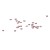 CYRKONIE-DO-PAZNOKCI-ALA-SWAROVSKI-1440SZT-LIGHT-AMETYST-SS3-4.jpg