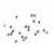 CYRKONIE-DO-PAZNOKCI-ALA-SWAROVSKI-1440SZT-CRYSTAL-SS3-5.jpg
