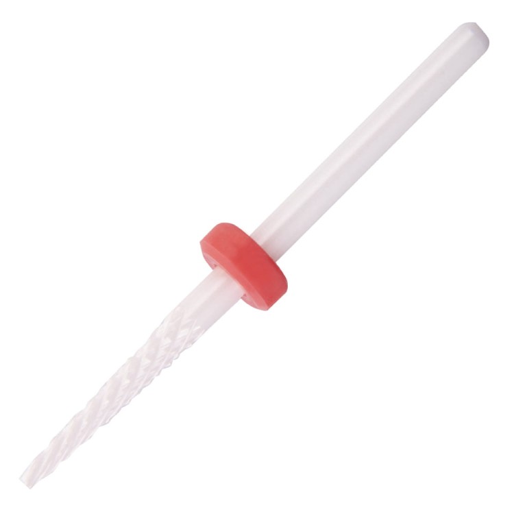small-cone-f..jpg