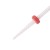 small-cone-f...jpg