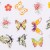 FOLIA-TRANSFEROWA-BUTTERFLIES-100cm-NR-9-3.jpg