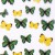FOLIA-TRANSFEROWA-SPRING-100cm-NR-9-3.jpg
