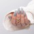 Lakier hybrydowy MollyLac Night Glowing Freestate Hemadi-Hema free 5g Nr 676.jpg