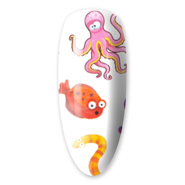 FOLIA-TRANSFEROWA-NEMO-NR.4-4.jpg