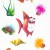 FOLIA-TRANSFEROWA-NEMO-NR.6-3.jpg