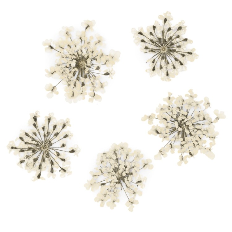 OZDOBA-DO-PAZNOKCI-SUSZONE-KWIATY-WHITE.jpg