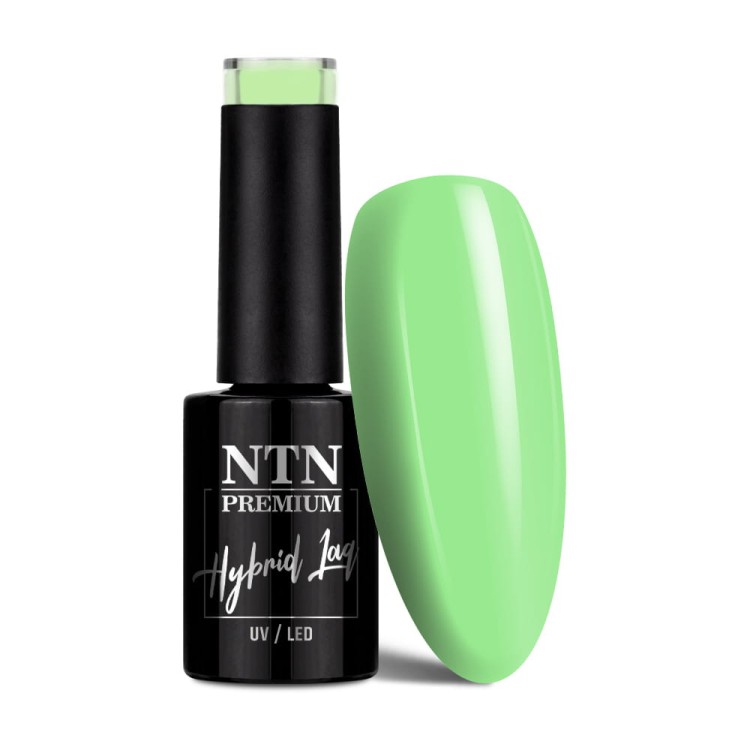 NTN-7 (2).jpg