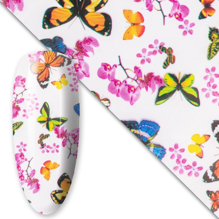 FOLIA-TRANSFEROWA-BUTTERFLIES-NR.14-1.jpg