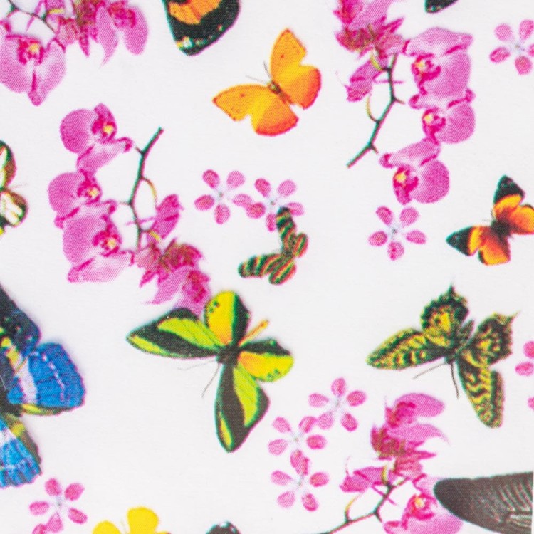 FOLIA-TRANSFEROWA-BUTTERFLIES-NR.14-2.jpg
