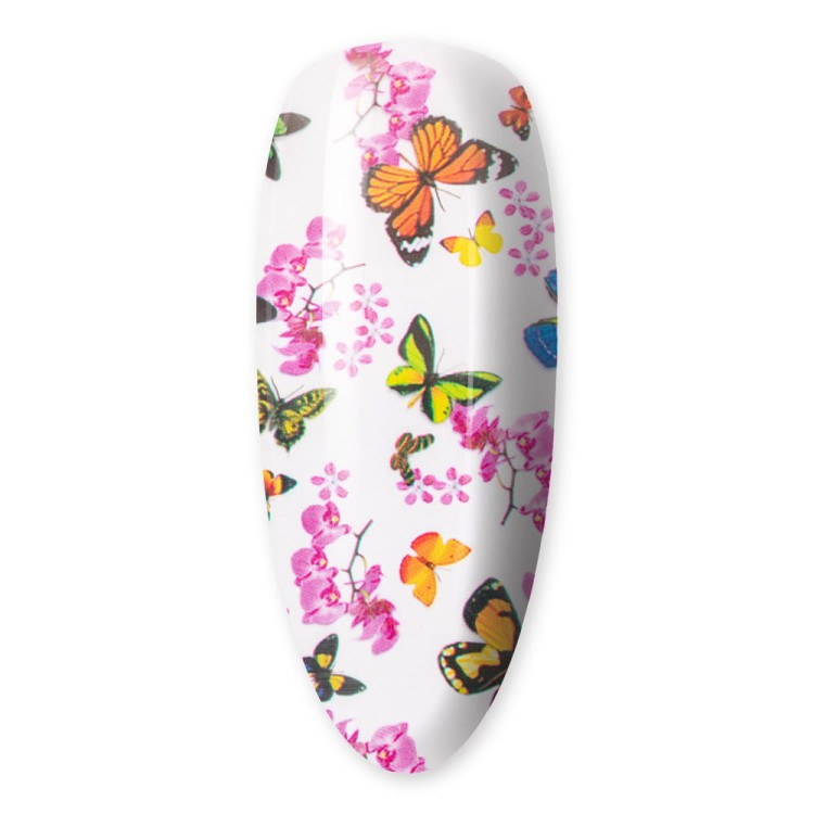 FOLIA-TRANSFEROWA-BUTTERFLIES-NR.14-3.jpg
