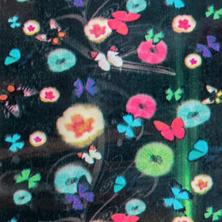 FOLIA-TRANSFEROWA-BUTTERFLIES-NR.15-2 (2).jpg