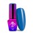 MOLLYLAC-Nr-137-Elixir-10g.jpg