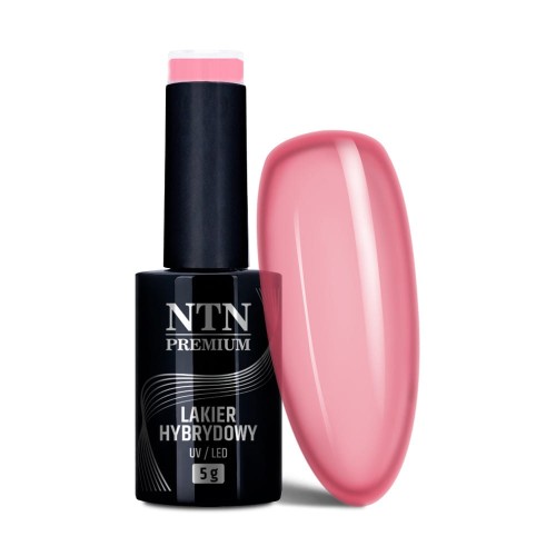 Lakier hybrydowy Ntn Premium Romantica Collection 5 g Nr 108 (1).jpg