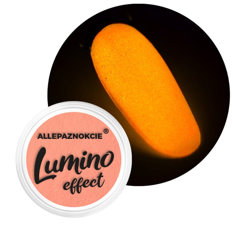 PYŁEK-DO-PAZNOKI-LUMINO-EFFECT-NR-6-1.jpg