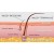 Żel-przed-depilacją-ItalWax-Pre-Wax-Gel-Aloe-Vera-250-ml-3.jpg