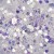 BLING-BLING-Nr2-2.jpg