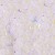 PRINCESS-NAILS-NR-6-2.jpg