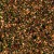 GLITTER-BOMB-Nr4-3.jpg