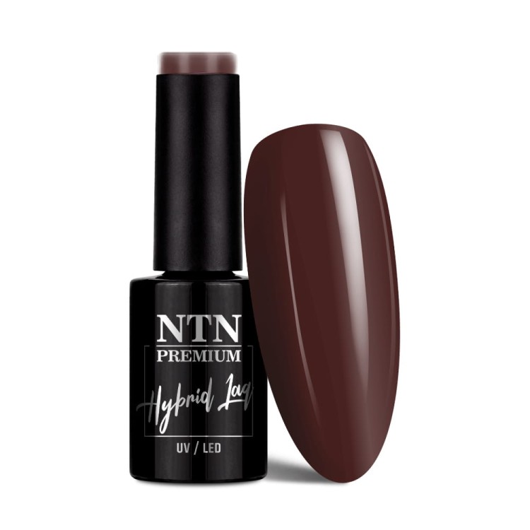 Zestaw Spicy chocolate 4 lakiery hybrydowe NTN Premium, kolory idealne na karnawał (89,113,112,166) (4).jpg