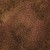 CHAMELEON-EFFECT-Nr2-3.jpg