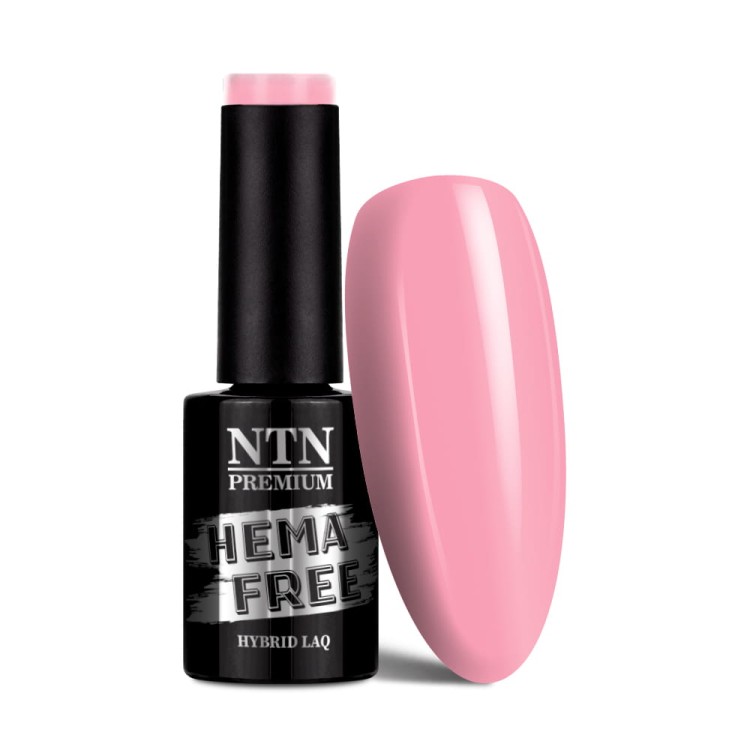 NTN-Nr311-1.jpg