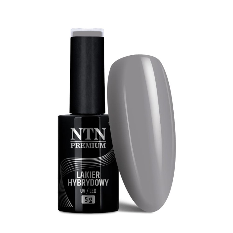 Lakier hybrydowy Ntn Premium Day Dreaming Collection 5 g Nr 57 (1).jpg
