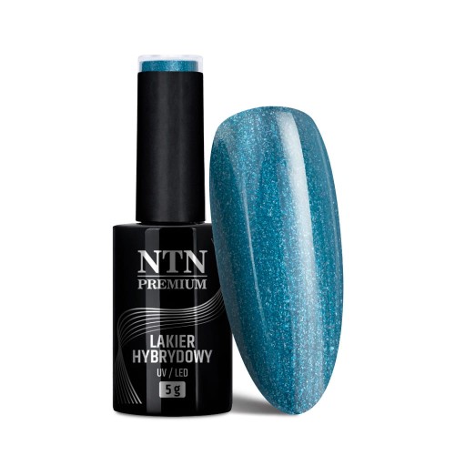 Lakier hybrydowy Ntn Premium Multicolor Collection 5 g Nr 90 (2).jpg