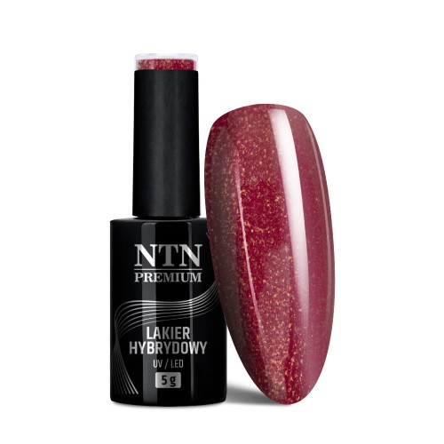 Lakier hybrydowy Ntn Premium Romantica Collection 5 g Nr 102 (1).jpg