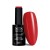 Lakier hybrydowy Ntn Premium Fiesta Collection 5 g Nr 80 (1).jpg