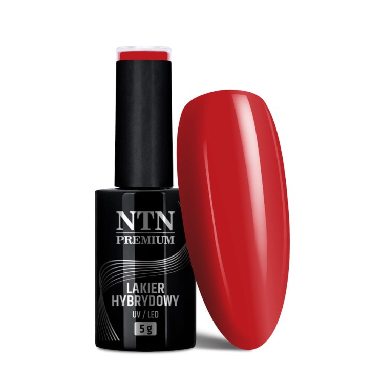 Lakier hybrydowy Ntn Premium Fiesta Collection 5 g Nr 80 (1).jpg