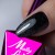 STAR-HOLLYWOOD-TOP-1a.jpg