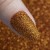 GNB-BROKAT-20g-Nr34-3.jpg