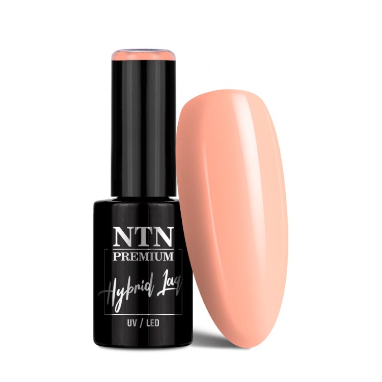 NTN-333-1.jpg