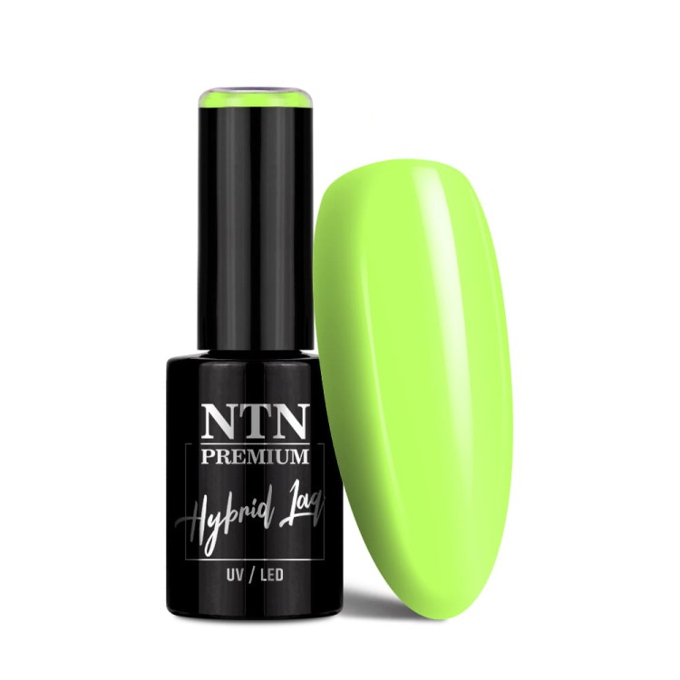 NTN-379-1.jpg