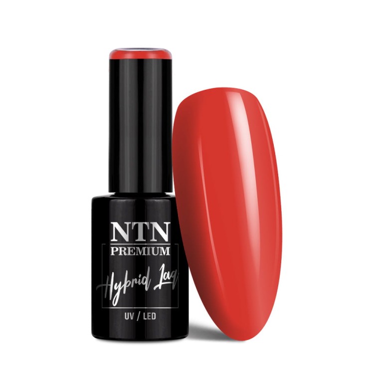 NTN REDS LIMITED EDITION NR 450 1.jpg