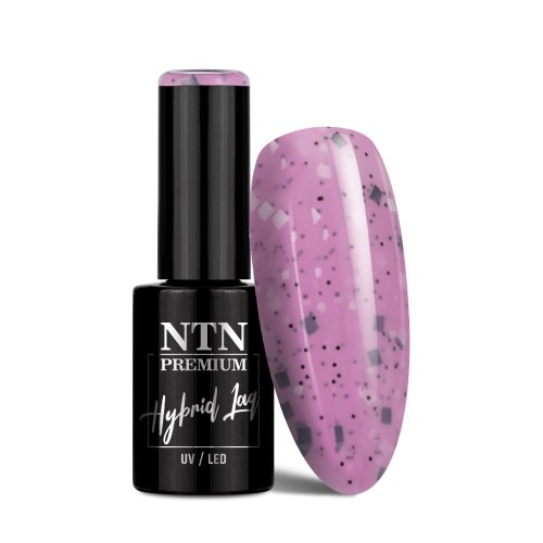 NTN PURPLES LIMITED EDITION NR 488 1.jpg