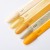 NTN YELLOWS LIMITED EDITION.jpg