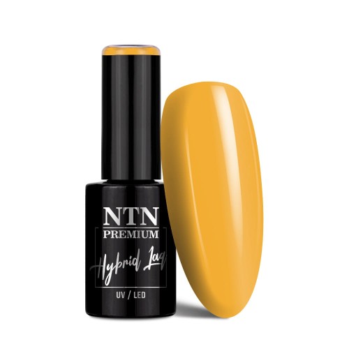 NTN YELLOWS LIMITED EDITION NR 485 1.jpg