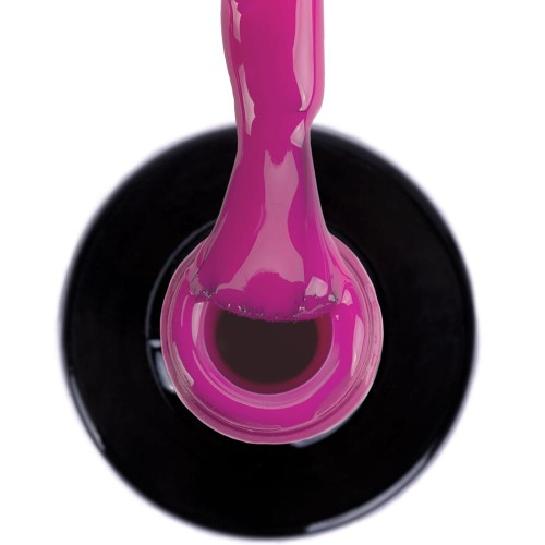 NTN PURPLES LIMITED EDITION NR 489 2.jpg