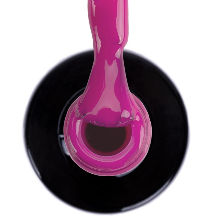 NTN PURPLES LIMITED EDITION NR 489 2.jpg