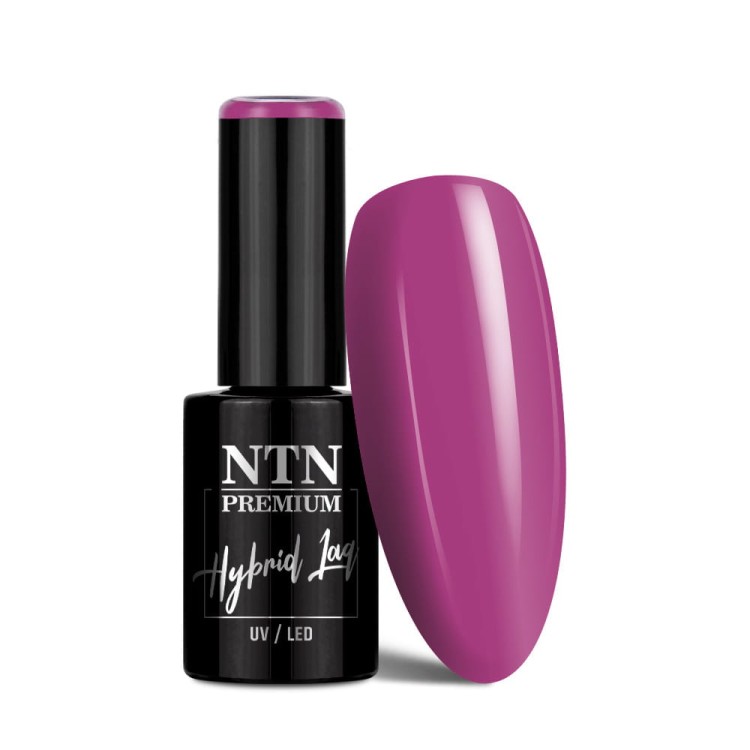 NTN PURPLES LIMITED EDITION NR 493 1.jpg