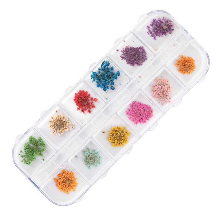 5903990595141-Suszone-kwiaty-do-zdobień-paznokci-w-kasetce-Molly-Nails-rodzaj-A-24szt-3.jpg