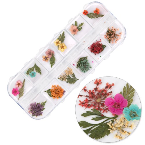 Suszone-kwiaty-do-zdobień-paznokci-w-kasetce-Molly-Nails-rodzaj-E-36szt-1.jpg