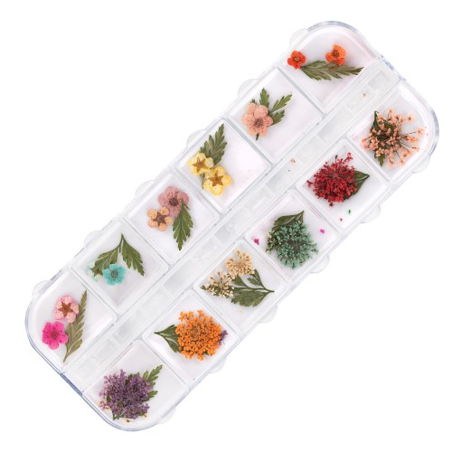 Suszone-kwiaty-do-zdobień-paznokci-w-kasetce-Molly-Nails-rodzaj-E-36szt-3.jpg