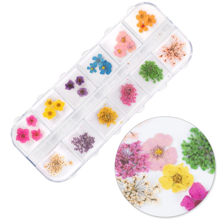 5903990595165-Suszone-kwiaty-do-zdobień-paznokci-w-kasetce-Molly-Nails-rodzaj-B-36szt-1.jpg
