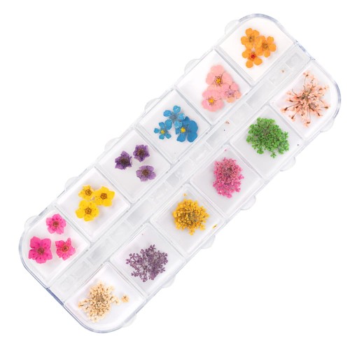 5903990595165-Suszone-kwiaty-do-zdobień-paznokci-w-kasetce-Molly-Nails-rodzaj-B-36szt-3.jpg