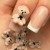 5903990596599-OZDOBY-DO-PAZNOKCI-MOLLY-NAILS-MISIE-3D-BRĄZOWE-20szt-2.jpg