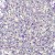 PŁATKI DO PAZNOKCI AURORA FLAKES 5g NR 10 3.jpg