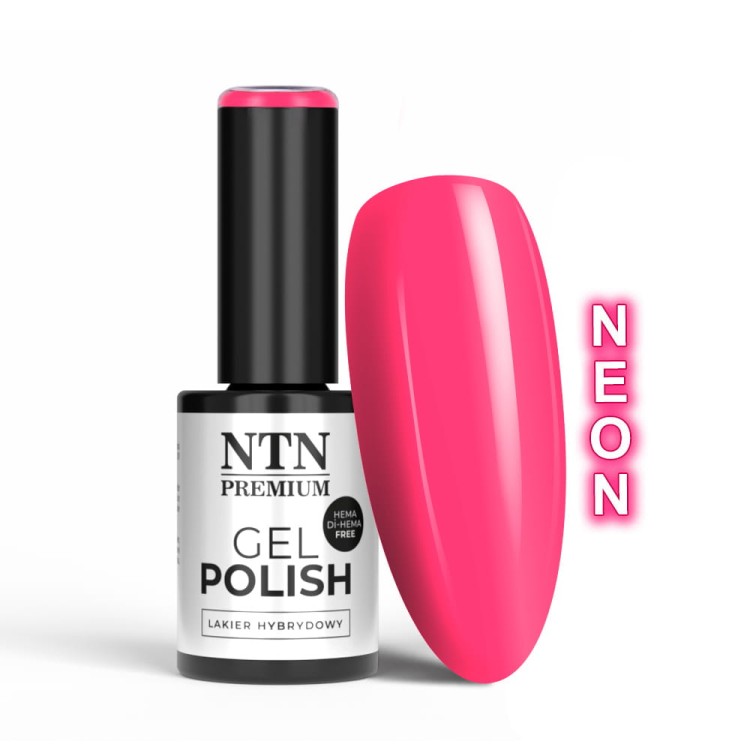 NTN-53-hema-free-INNY-ODCIEN.jpg