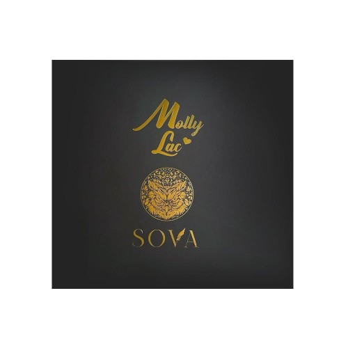 Piórnik etui przybornik na pędzle Sova by Aleksandra Sowa-Falarz różowy (2).jpg